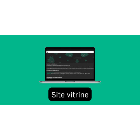 Installez la présence de votre entreprise en ligne (starter)